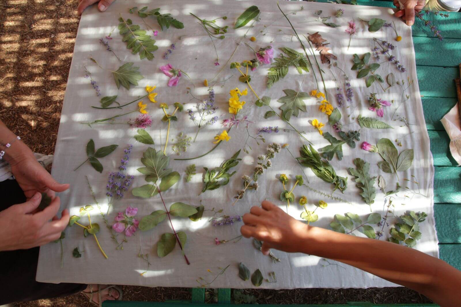 WhatsApp Image 2026-01-29 at 2.46.46 PM