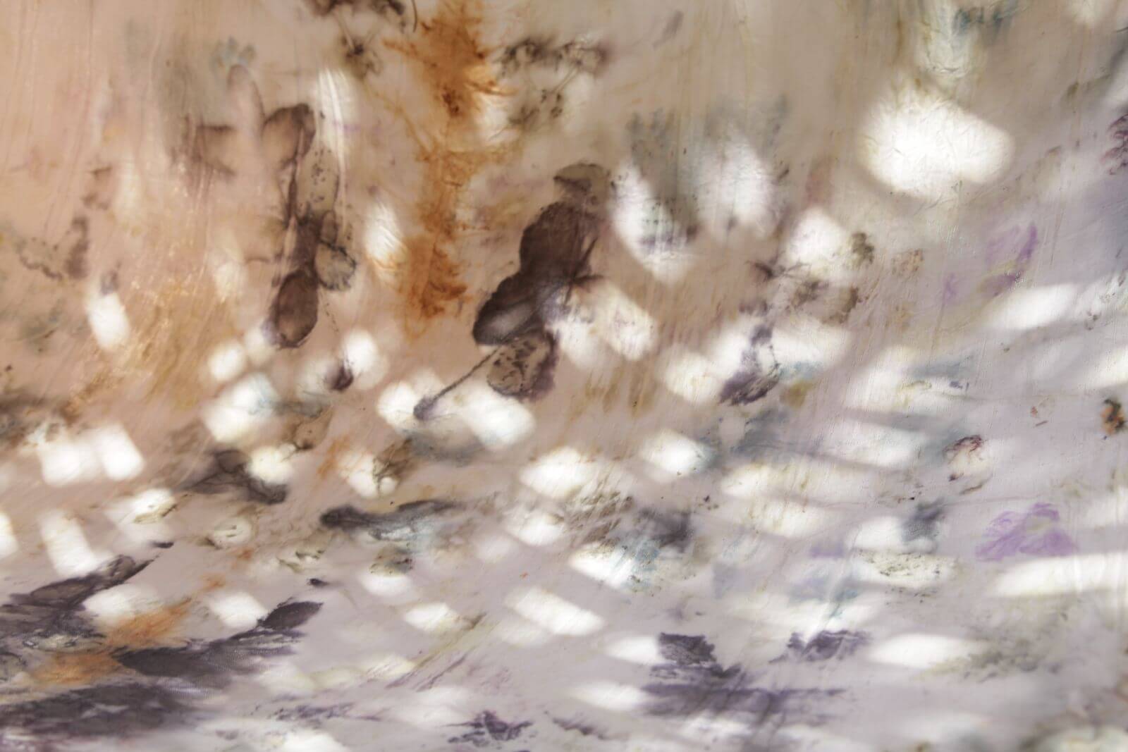 WhatsApp Image 2026-01-29 at 2.50.36 PM